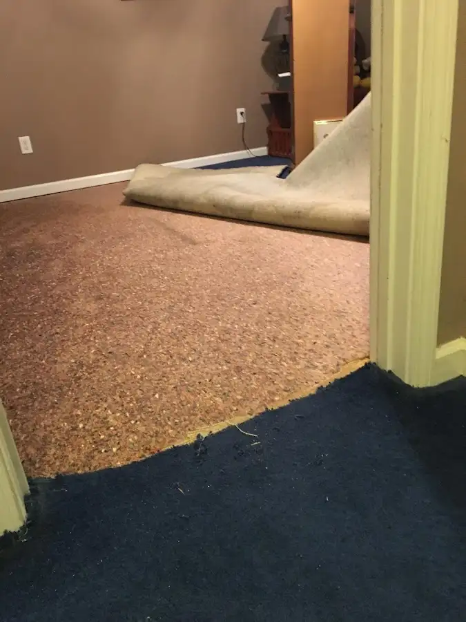 Carpet pad removal revealing water damage during Water Mitigation Services in Goffstown