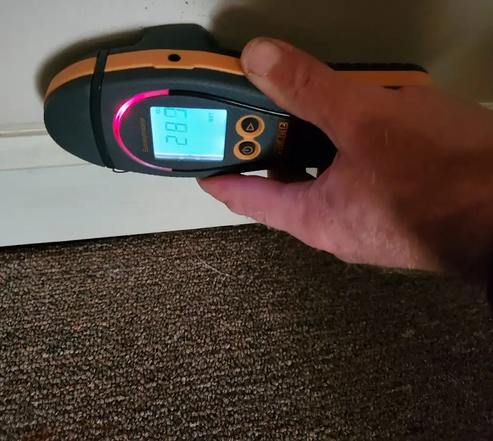 Moisture detection at baseboard during Sewage Cleanup & Sanitation in Goffstown
